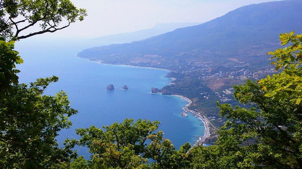 Елена Поздеева