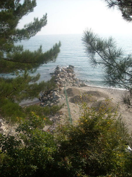 Вадим Вадимов