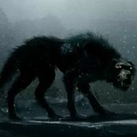 Кирилл Селин