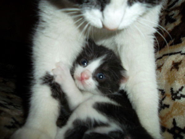 Даша Овчинникова