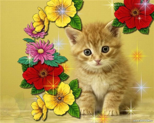 Людмила *******