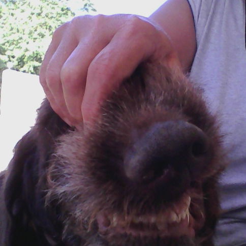 Ольга Денежных