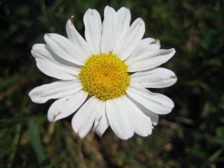 Евгений Касаткин