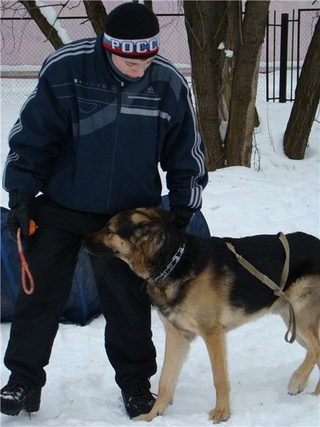 Серега Акимов