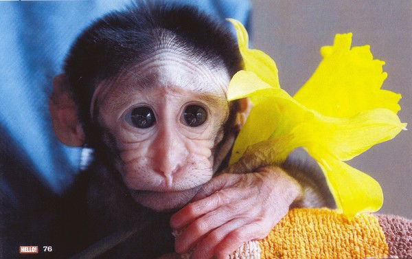 Екатерина Касаткина