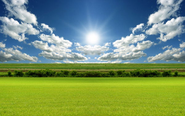 Людмила Мокринская