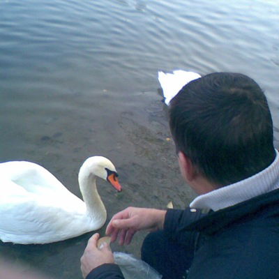 Виталий Михеев