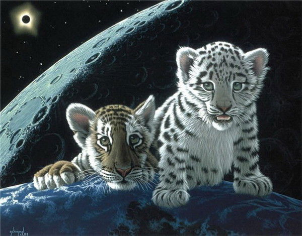 Андрей Аношкин