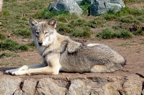 Сергей Ветчинин