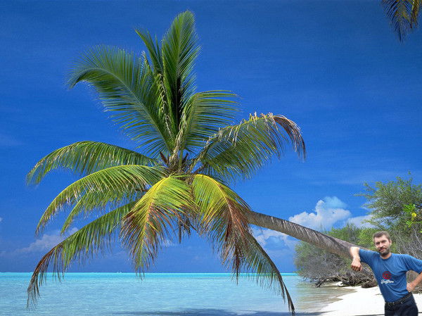 Sergsergserg Sergsergserg