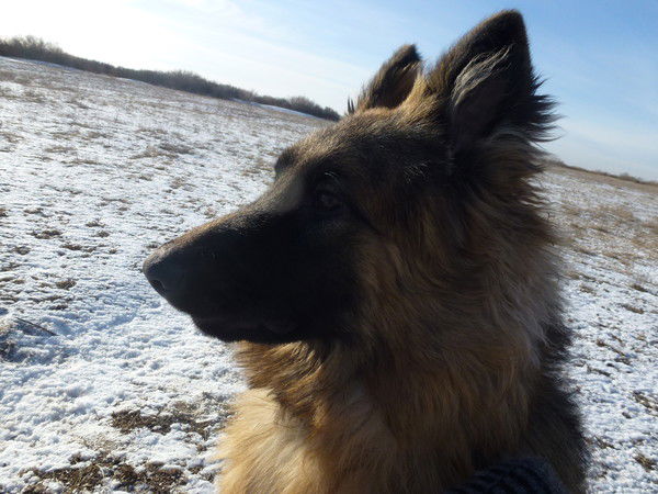 Ярослав Галай