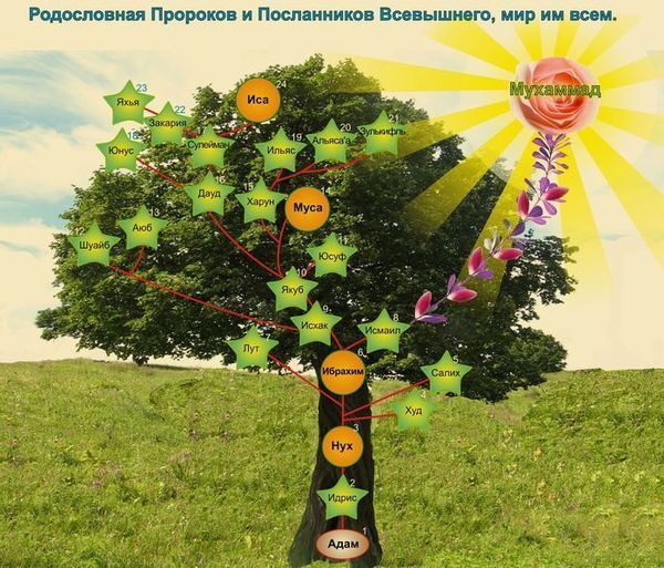 Мудассир Ганиев