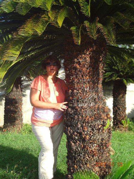 Елена Асмоловская