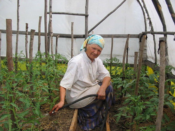 Vladimir Kalashnikov