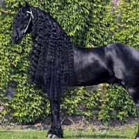 София Прокопенко