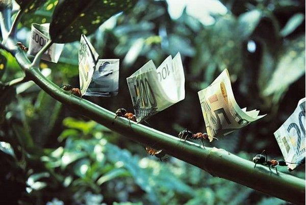 Малик Tleukulov