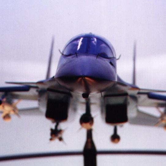 Виктор Ватрунин