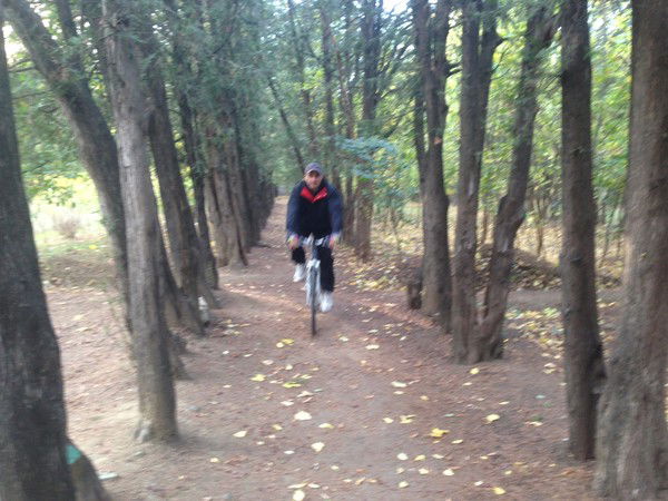 Lasha Tchurtchelauri