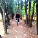 Lasha Tchurtchelauri