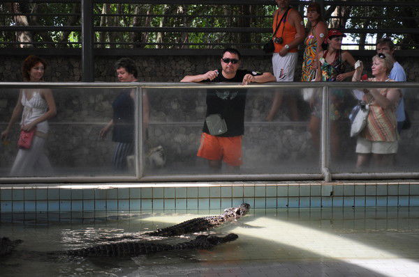 Ильдар Ямансарин