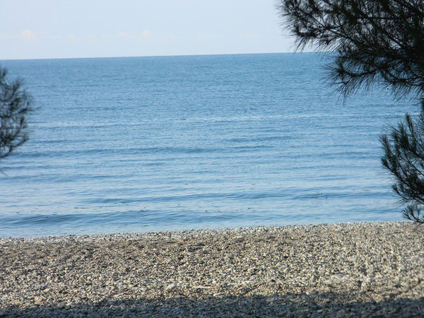 Юлия Осипова