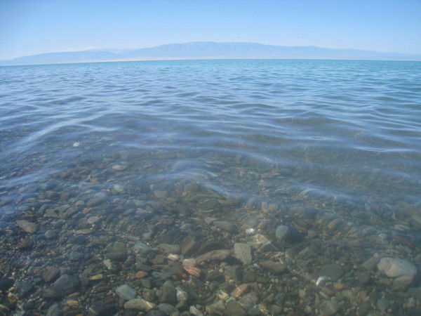 Людмила Фисенко