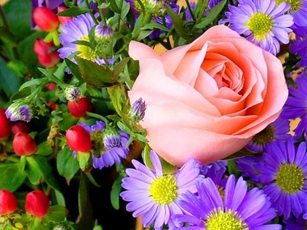 Светлана Афендикова