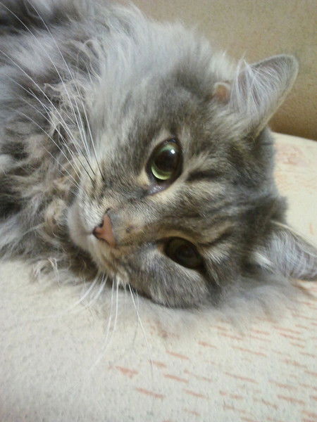 Артём Тютюнников