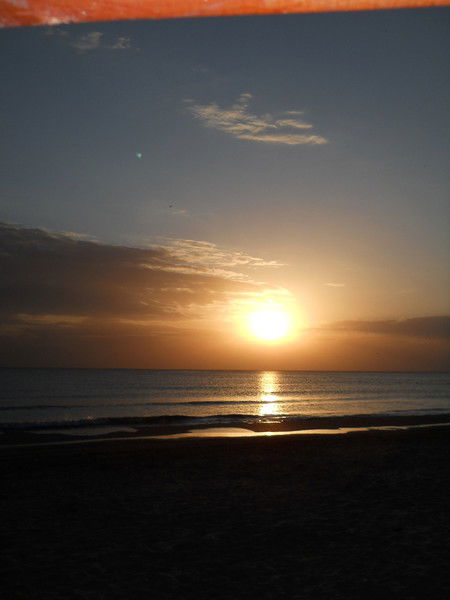 Ольга Трещева