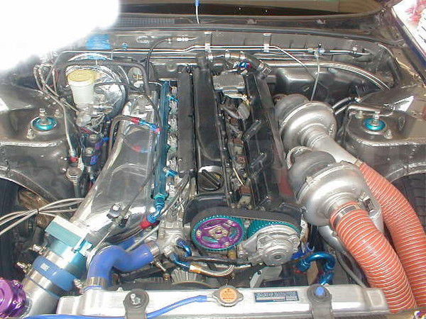 Никита Гречкин