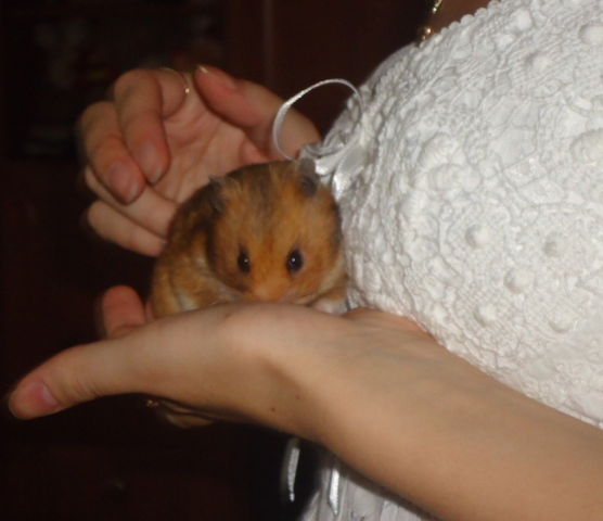 Наташа Михалап