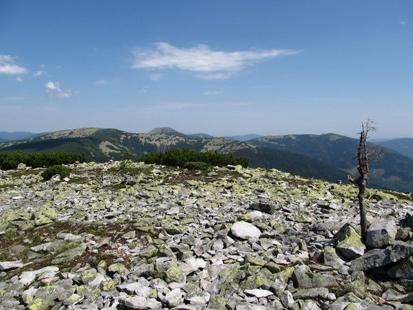 Роман Козик