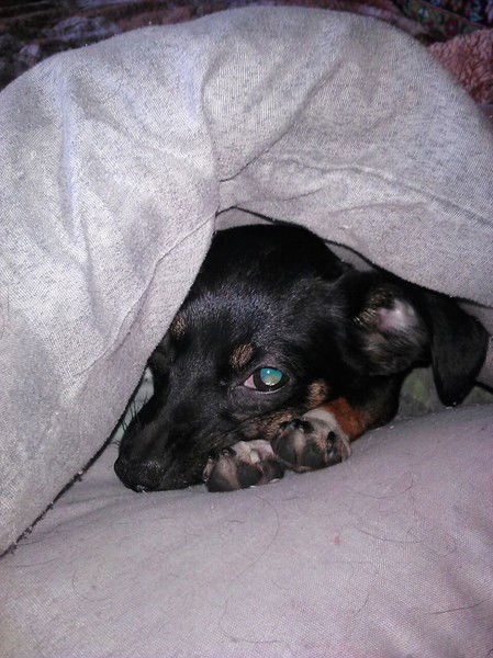 Альберт Юнусов