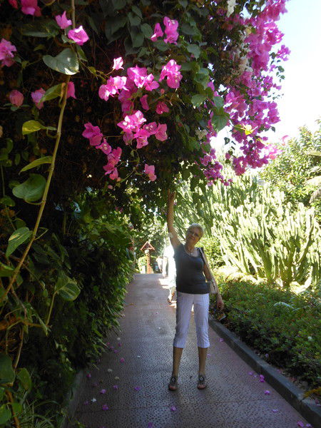 Алла Корягина