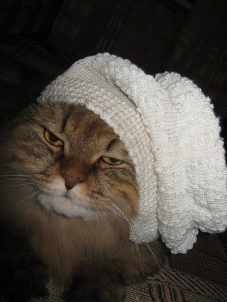 Наталия Арискина