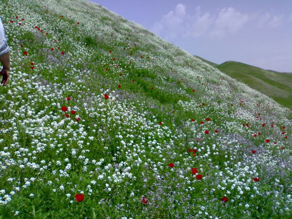 Мирзоназар Зокиров