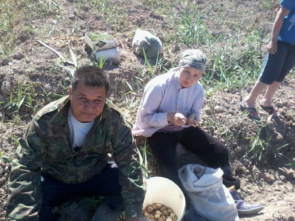 Султанбек Искаков