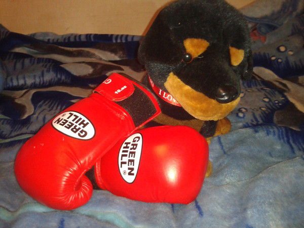 Алексей Березкин