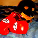 Алексей Березкин