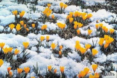 Людмила Хайретдинова