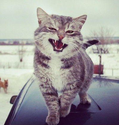 Эдик Кузнецов