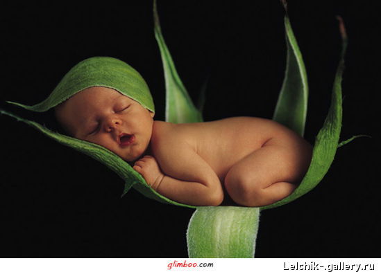 Светлана Свистун