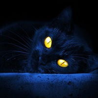 Виктория Драгнева