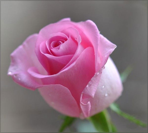 Евгения .......