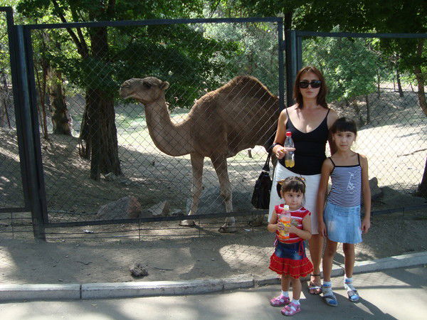 Svetlana Tasimbekova