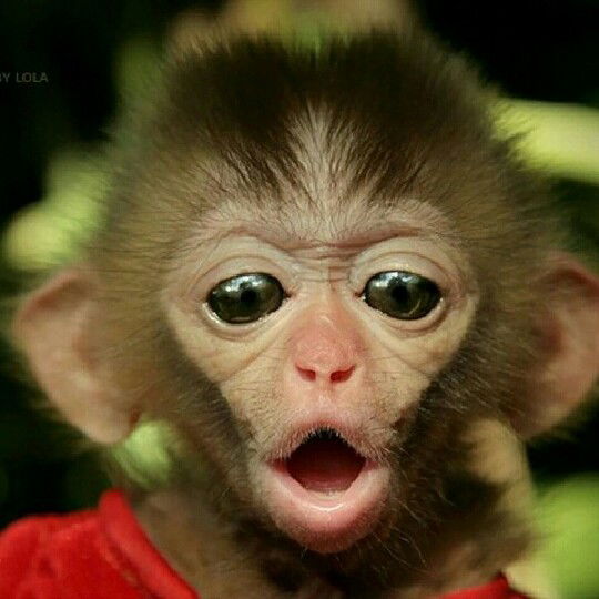 Александр Гордеев