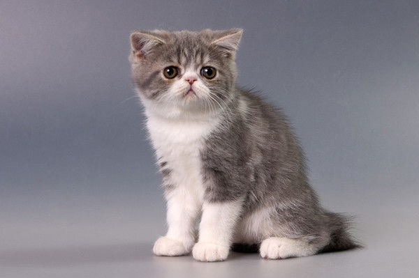 Ольга Славгородская