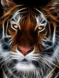 Александр Фам