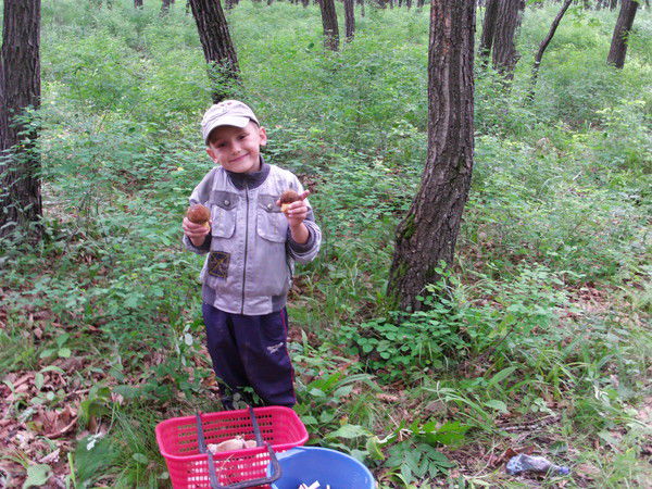 Валерий Радохлеб