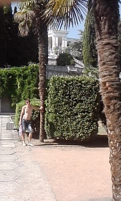 Никита Ефремов